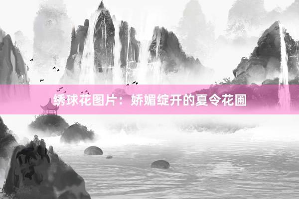 绣球花图片：娇媚绽开的夏令花圃